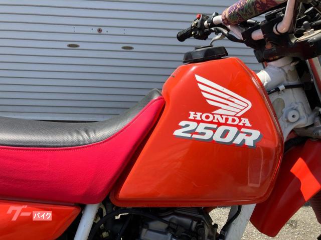 ホンダ XLR250R｜MOTO-SPORTS K's｜新車・中古