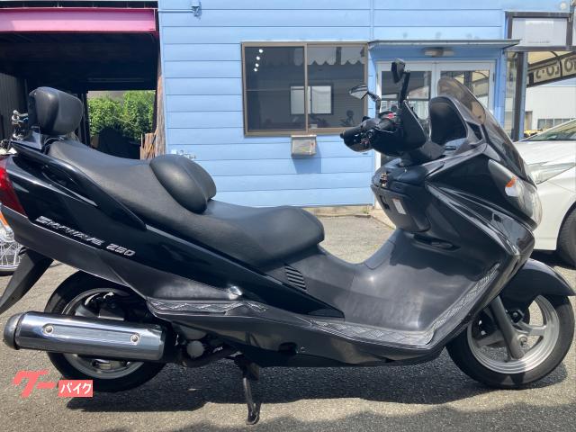 スカイウェイブ２５０　ウィンターバージョン　グリップヒーター