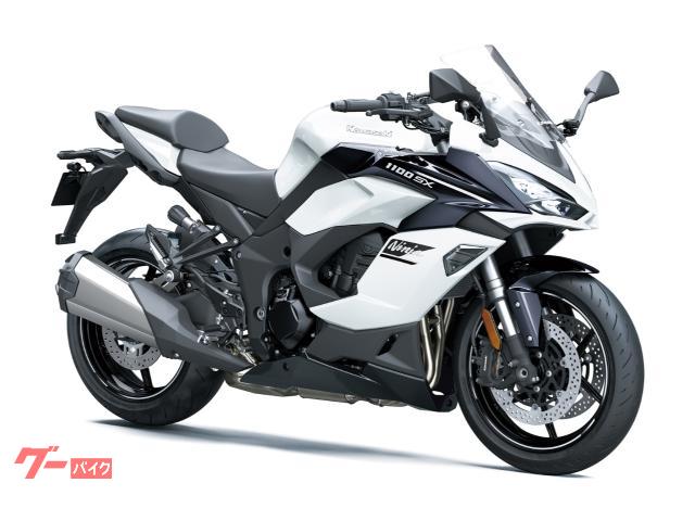 Ｎｉｎｊａ　１１００　ＳＸ