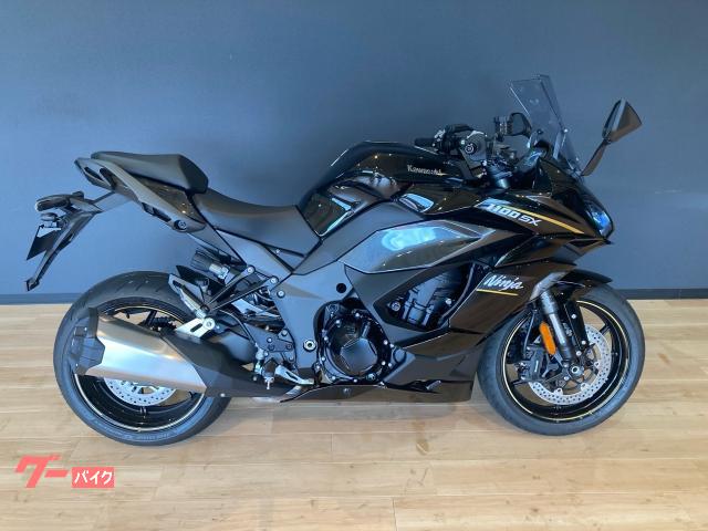 Ｎｉｎｊａ　１１００　ＳＸ