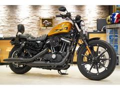 ＨＡＲＬＥＹ−ＤＡＶＩＤＳＯＮ　ＸＬ８８３Ｎ　アイアン　ハードキャンディーカラー