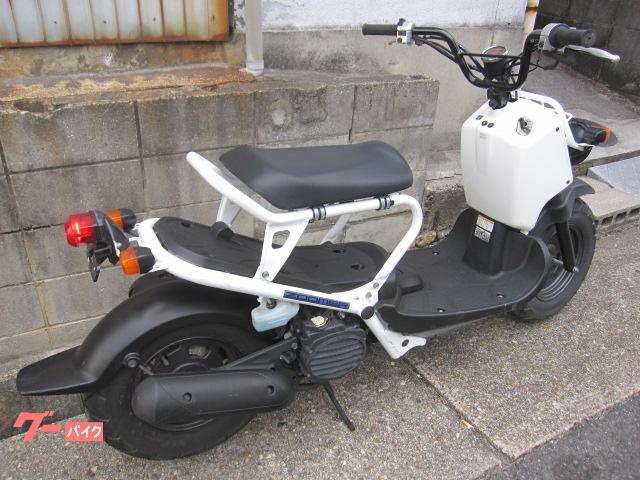 人気ズーマー愛知県