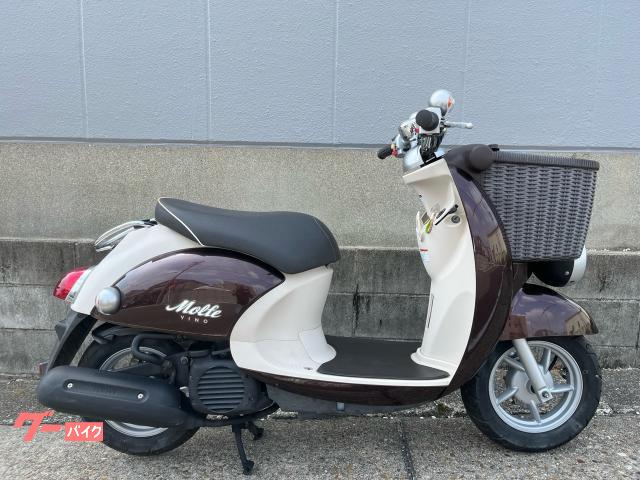 ビーノモルフェ