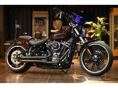 ＨＡＲＬＥＹ−ＤＡＶＩＤＳＯＮ　ＦＸＢＲＳ　ソフテイル　ブレイクアウト１１４