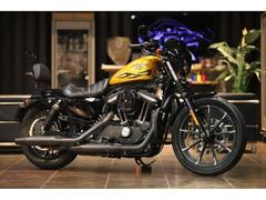 ＨＡＲＬＥＹ−ＤＡＶＩＤＳＯＮ　ＸＬ８８３Ｎ　アイアン