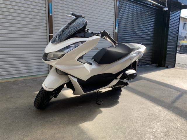 安い100%新品 ホンダ - (新車並)pcx125 jk05 ホワイト 現行モデルの