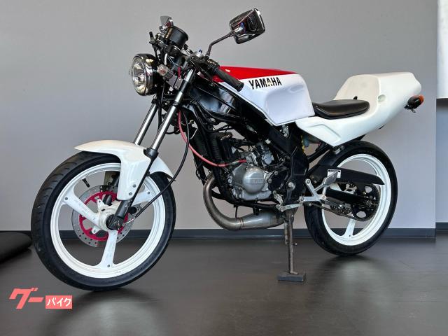 ヤマハ TZR50R 4EU ネイキッド仕様 チャンバー Φ24ビック