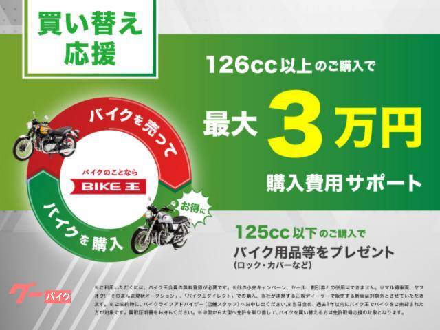 ＢＭＷ Ｒ１２５０ＧＳ　Ａｄｖｅｎｔｕｒｅ　ワンオーナー　フルパニヤ　フォグランプ装備の画像（愛知県