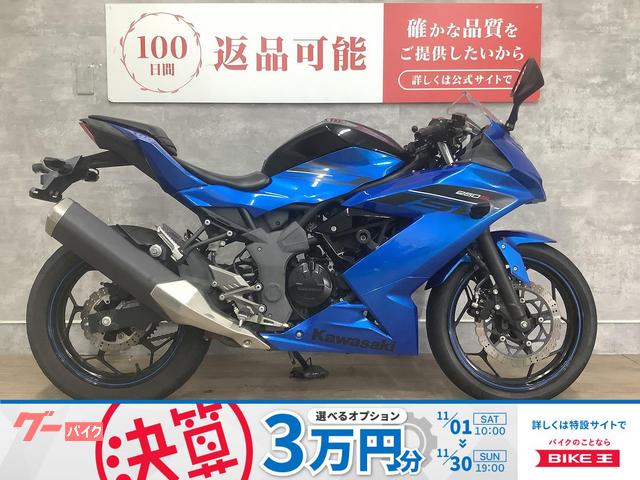 Ｎｉｎｊａ　２５０ＳＬ　２０１６年モデル　エンジンスライダー