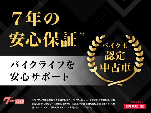 HARLEY-DAVIDSON X500 — миниатюра 3