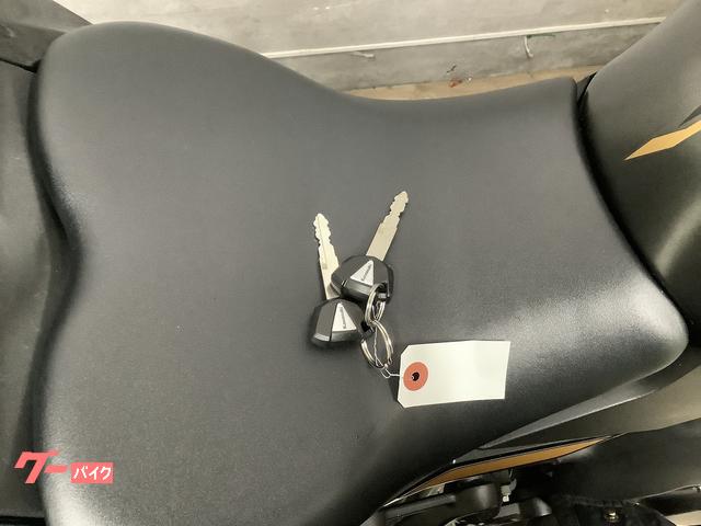 カワサキ Ninja ZX－25R SE ドラレコ マルチバー USB2
