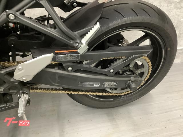 カワサキ ニンジャZX－4R SE トリックスター製サイレンサー