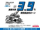 HARLEY-DAVIDSON X500 — миниатюра 2
