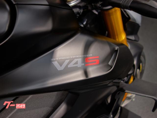 DUCATI V4S 2024 — миниатюра 4