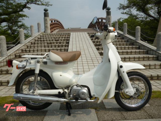 リトルカブ