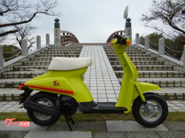 バラ