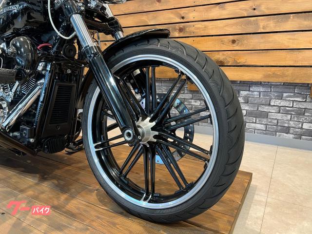 ＨＡＲＬＥＹ－ＤＡＶＩＤＳＯＮ ＦＸＢＲ ソフテイル ブレイクアウト