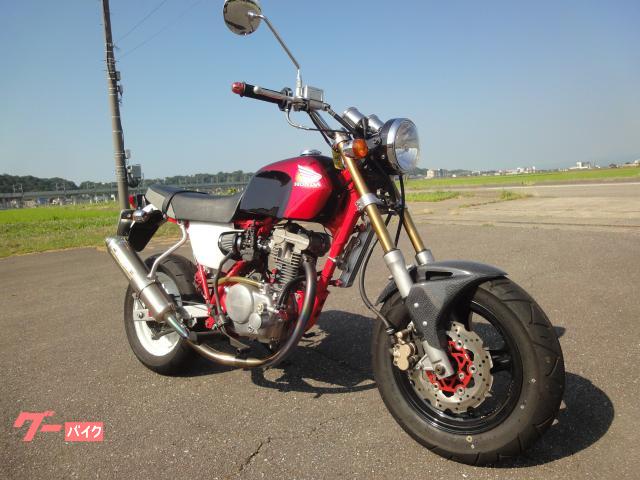 Ａｐｅ１００ＤＸ