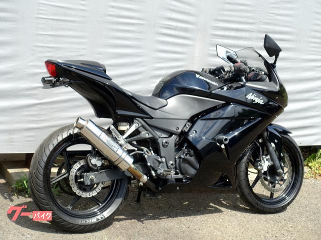 カワサキ Ｎｉｎｊａ ２５０Ｒ 社外マフラー 流れるウインカー｜三日月モータース｜新車・中古バイクなら【グーバイク】