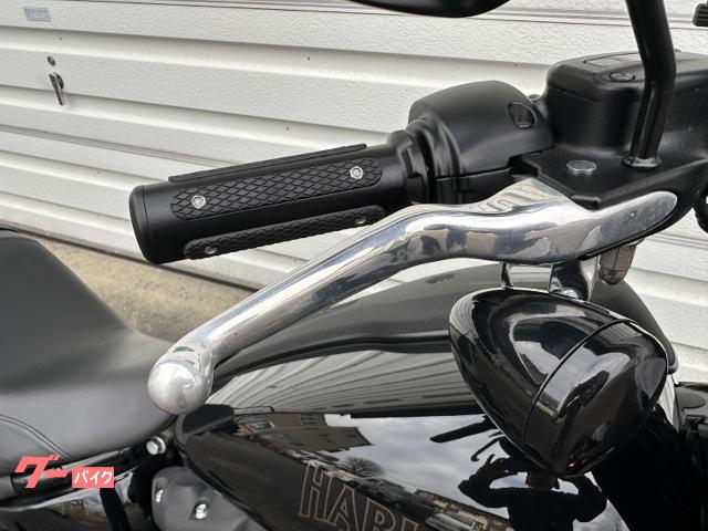 HARLEY-DAVIDSON FXLRS S 2023 — миниатюра 5