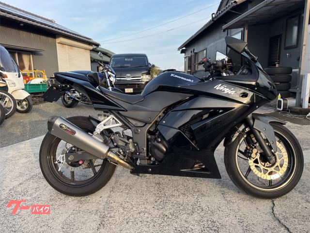 Ｎｉｎｊａ　２５０Ｒ