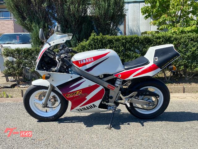 ヤマハ ｔｚｍ５０ｒ 安田商会 新車 中古バイクなら グーバイク