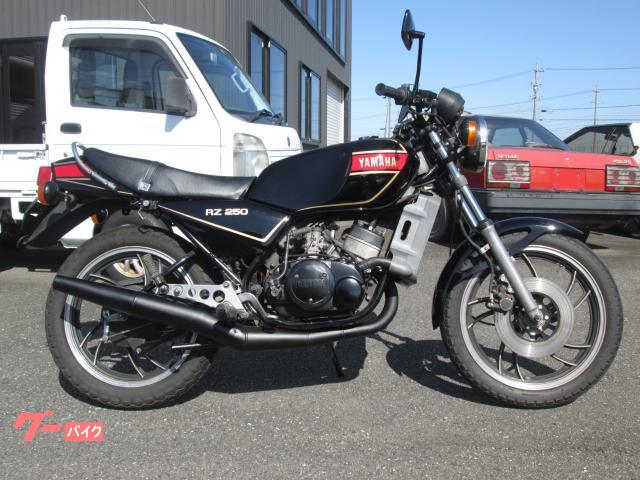 ＲＺ２５０　ノーマル車両　全塗装済み