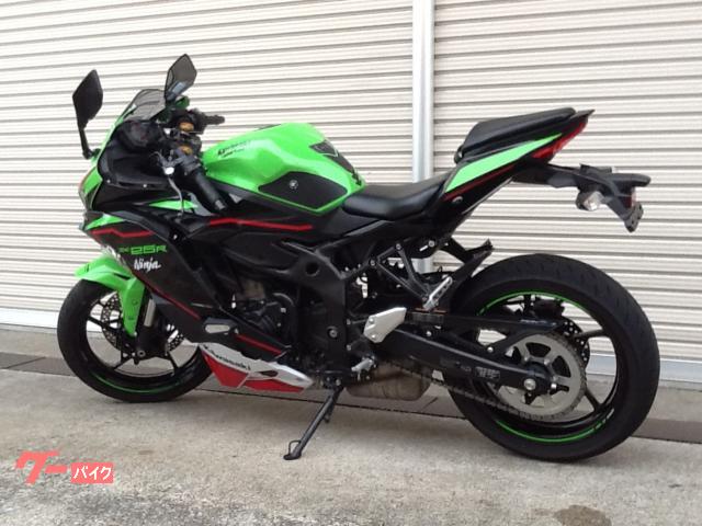 Ｎｉｎｊａ　ＺＸ−２５Ｒ　ＳＥ