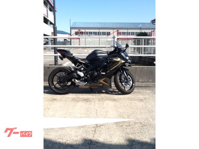 Ｎｉｎｊａ　ＺＸ−２５Ｒ