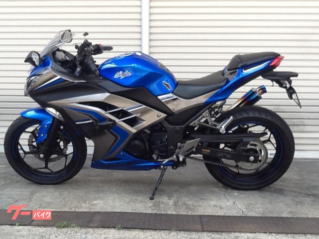 Ｎｉｎｊａ　２５０