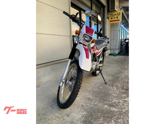 ヤマハ セロー225WE｜オートショップ堀 MOTORRAD