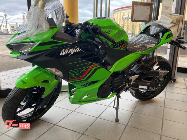 Ｎｉｎｊａ　２５０