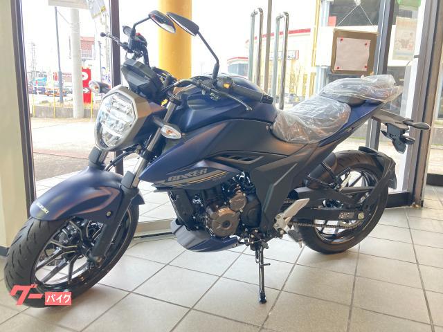 ＧＩＸＸＥＲ　２５０