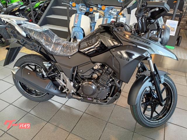 Ｖ−ストローム２５０