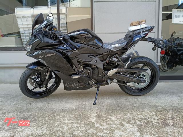 Ｎｉｎｊａ　ＺＸ－２５Ｒ