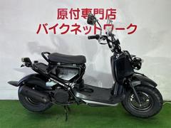 ズーマー(ホンダ)のバイクを探すなら【グーバイク】