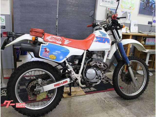 ホンダ　XLR250R 自賠責一年半あり　すぐ乗れます！値下げしましたー 本格的なランドスポーツバイク「ホンダ XLR250R」のカラーリングを変更