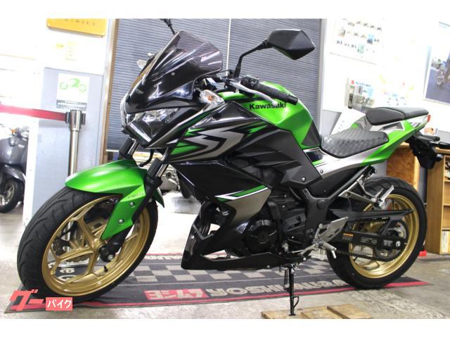 カワサキ Z250 スペシャルエディション USBポート・MRA