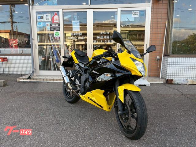 Ｎｉｎｊａ　２５０ＳＬ