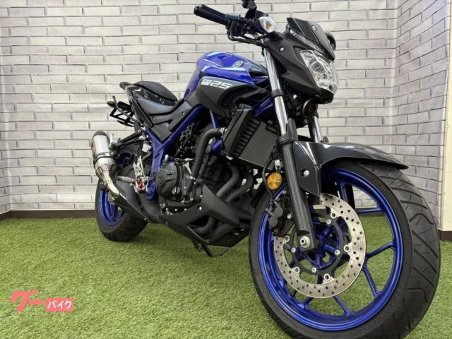 ＭＴ−２５　ヨシムラスリップオンマフラー　バックステップ　フェンダレス　ＥＴＣ