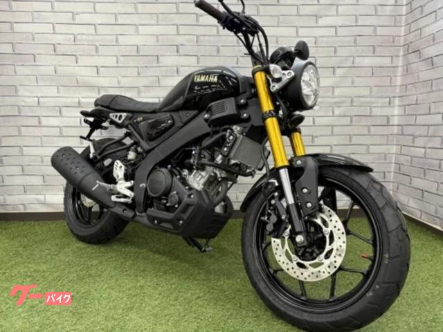 ＸＳＲ１５５　フェンダーレスカスタム