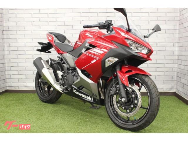 Ｎｉｎｊａ　２５０　フルノーマル