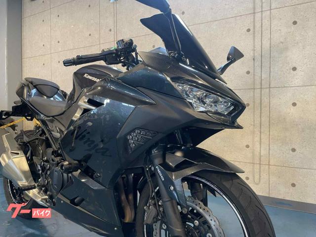 パイナップルべティーズ　ツイン　中古 パイナップルべティーズ ツイン 中古 パイナップルベティーズ