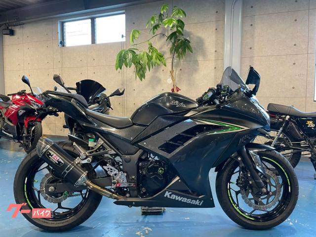 Ｎｉｎｊａ　２５０　ヨシムラマフラー　ＰＥＮＳＫＥハンドル　バックスステップ他多数　ＥＴＣ装備