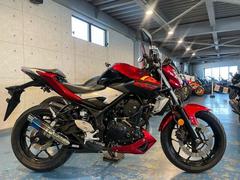 ヤマハ　ＭＴ−０３（３２０ｃｃ）　ＷＲ’ｓマフラー　レバーカスタム済み