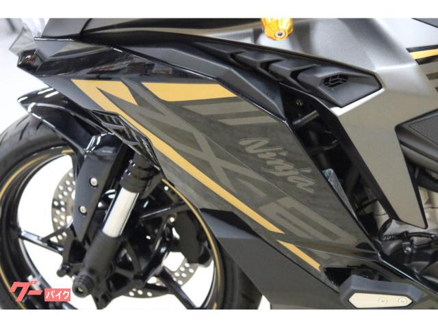 カワサキ Ninja ZX－25R ETC付 カスタム多数