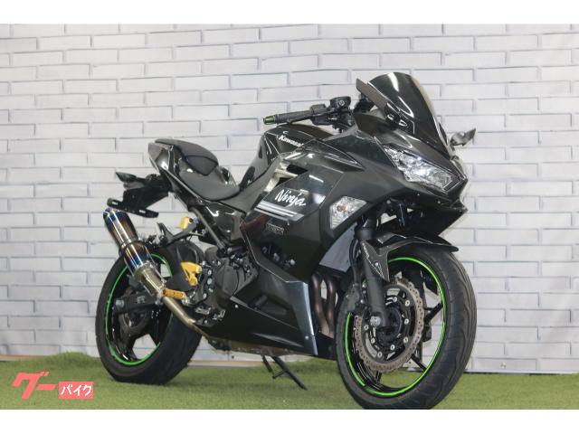 Ｎｉｎｊａ　２５０　ビームスマフラー　ＵＳＢ電源付き