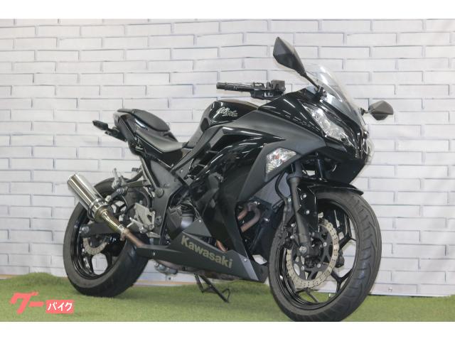 Ｎｉｎｊａ　２５０　フェンダーレス　ＵＳＢ電源　リアライズ製マフラー