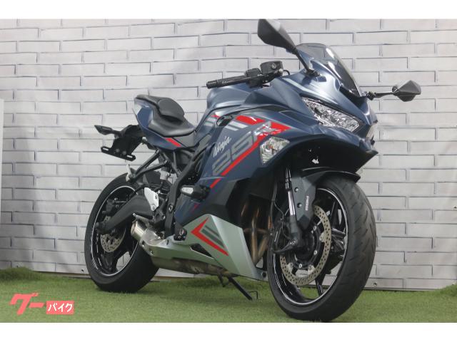 Ｎｉｎｊａ　ＺＸ−２５Ｒ　ＳＥ