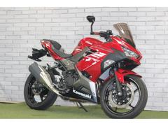 カワサキ　Ｎｉｎｊａ　２５０　バーエンドミラー　ＵＳＢ電源付